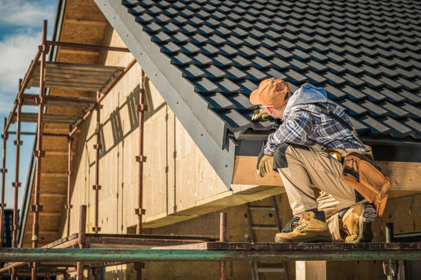 Best Roof Moss and Algae Removal  in Julesburg, CO